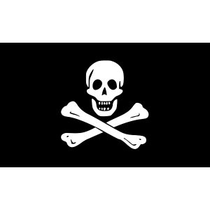 Jolly Roger Pirate Flag